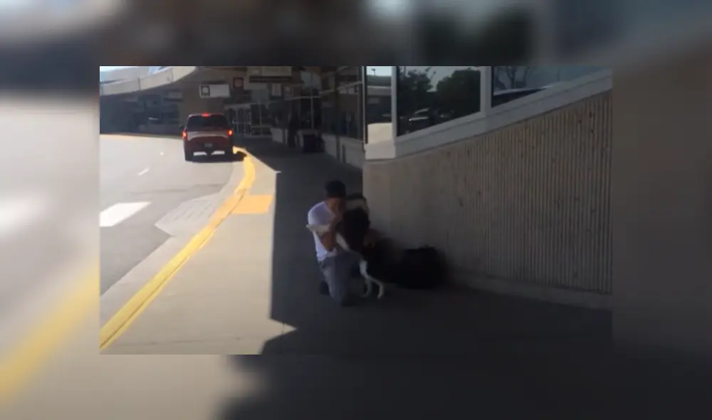 En YouTube se hizo viral el conmovedor reencuentro entre un perro y su dueño.