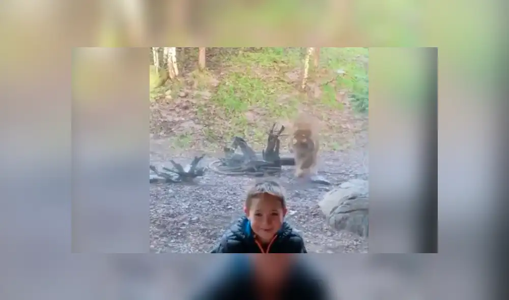 Desliza hacia la izquierda el encuentro del felino con el niño, escena que es viral en Facebook. Desliza hacia la izquierda el encuentro del felino con el niño, escena que es viral en Facebook.