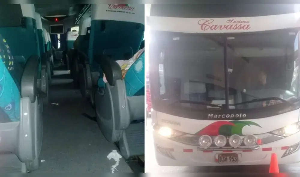 Denuncian nueva presencia de chinches en bus Chiclayo-Lima