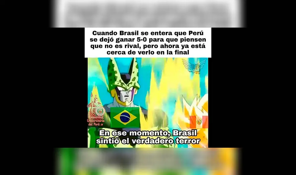 Perú vs Chile: memes tras clasificar a la final de la Copa América 2019. Foto: Facebook. Perú vs Chile: memes tras clasificar a la final de la Copa América 2019. Foto: Facebook.