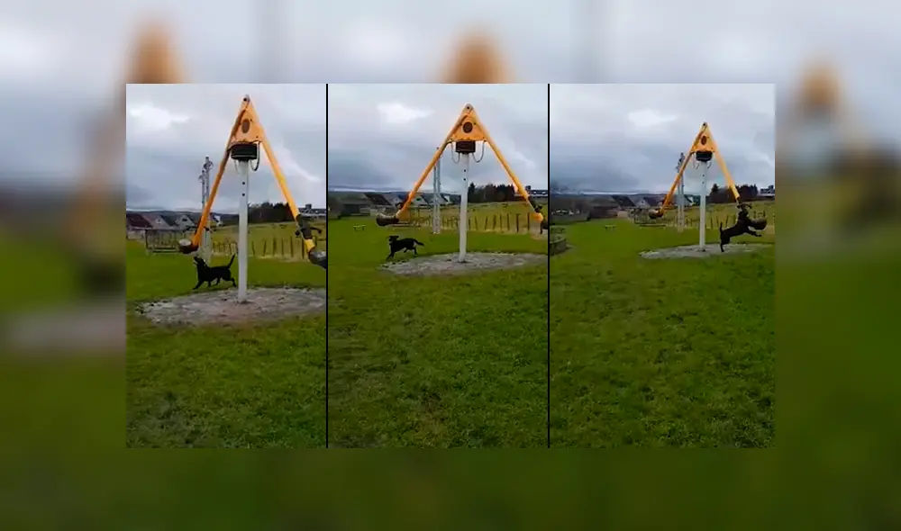Desliza las imágenes para ver la divertida escena que protagonizó un perro callejero en un parque. Foto: Captura/Facebook Desliza las imágenes para ver la divertida escena que protagonizó un perro callejero en un parque. Foto: Captura/Facebook