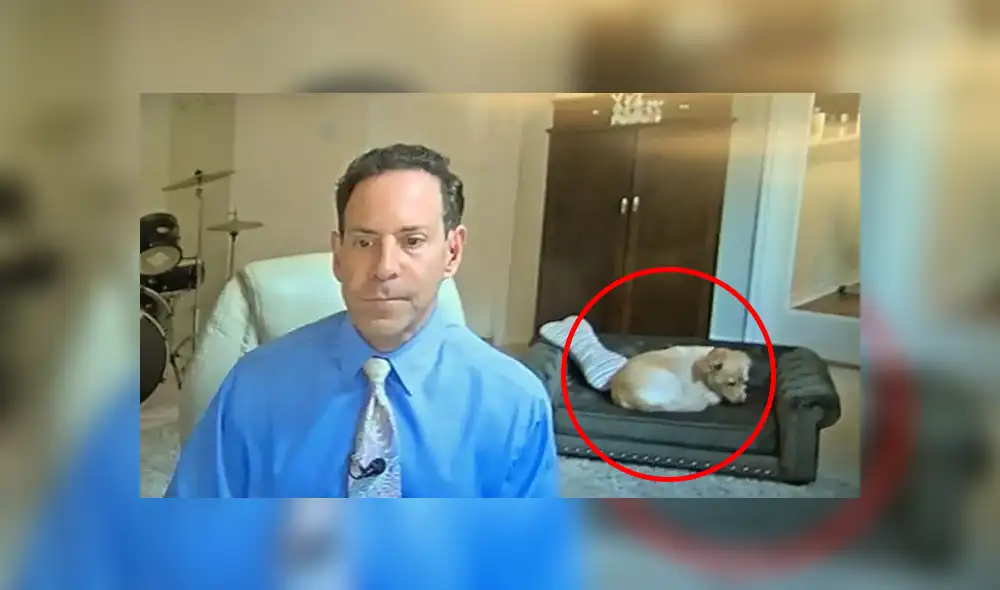 Desliza a la izquierda para conocer más sobre esta serie de fotografías que ahora son virales en Facebook. Foto: Captura.