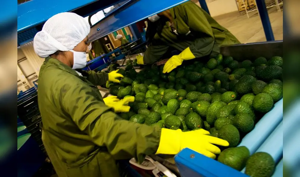 Exportación Exportación