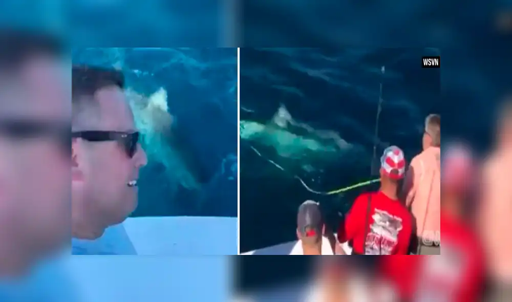 Desliza hacia la izquierda para ver el encuentro que tuvieron los pescadores con el tiburón, escena que es viral en YouTube. Desliza hacia la izquierda para ver el encuentro que tuvieron los pescadores con el tiburón, escena que es viral en YouTube.