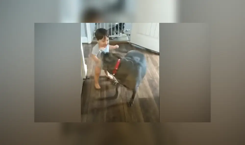 Desliza hacia la izquierda para ver las imágenes del viral de Facebook. Foto: Captura. Desliza hacia la izquierda para ver las imágenes del viral de Facebook. Foto: Captura.