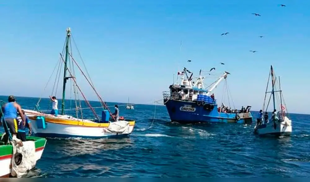 Piura: pescadores de Máncora denuncian pesca de arrastre en el mar de Talara Piura: pescadores de Máncora denuncian pesca de arrastre en el mar de Talara
