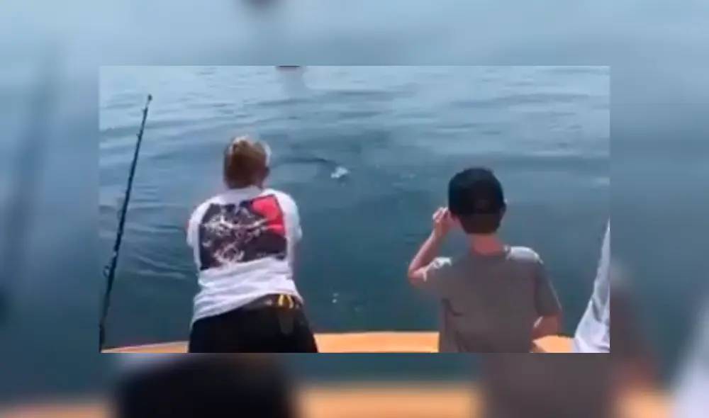 Desliza para ver el desenlace de este video viral de YouTube. Foto: Captura. Desliza para ver el desenlace de este video viral de YouTube. Foto: Captura.