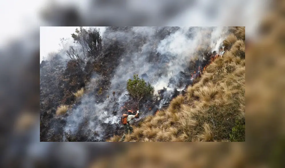 Registraron más de 100 incendio forestales en las últimas tres semanas. Créditos: Jorge Cerdán / La República. Registraron más de 100 incendio forestales en las últimas tres semanas. Créditos: Jorge Cerdán / La República.