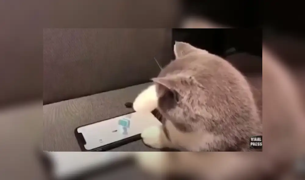 Desliza hacia la izquierda para ver más del video viral.