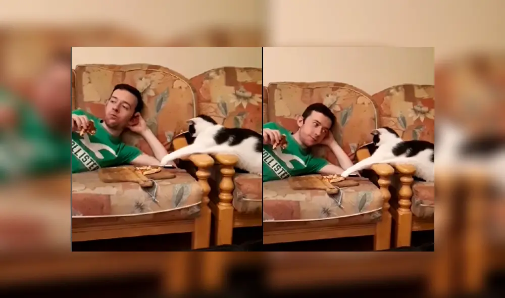 Desliza las imágenes para ver la curiosa escena que protagonizó este gatito al querer ‘robar’ un poco de comida a su dueño. Fotocapturas: ViralHog/YT Desliza las imágenes para ver la curiosa escena que protagonizó este gatito al querer ‘robar’ un poco de comida a su dueño. Fotocapturas: ViralHog/YT