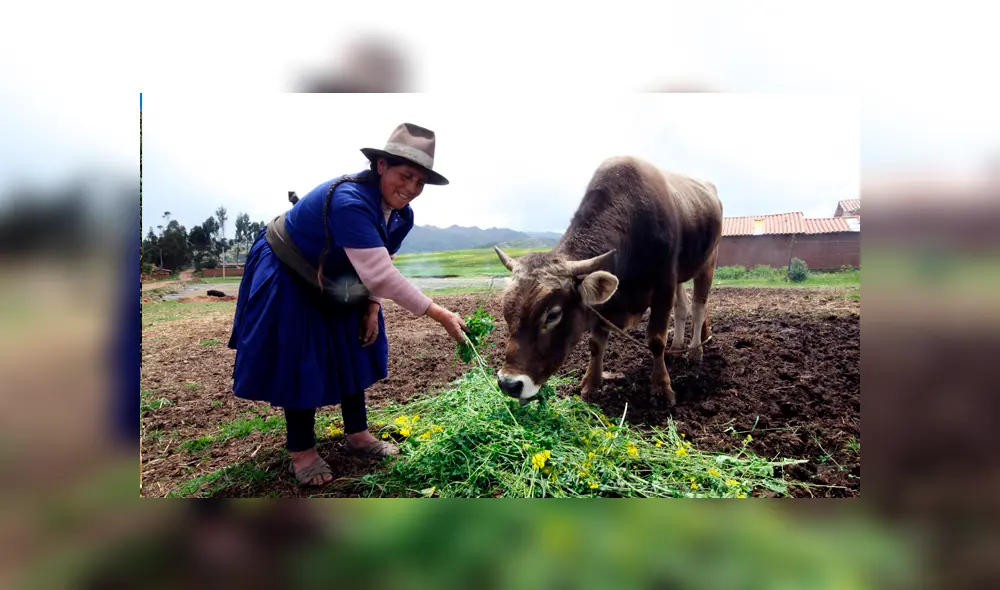 Bono Rural de 760 soles Bono Rural de 760 soles