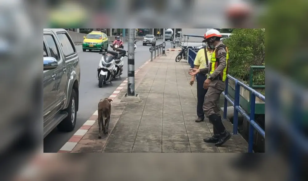 Video es viral en YouTube. El policía tuvo que trepar barandas y tuberías para poder rescatar al can, que había caído accidentalmente al canal.