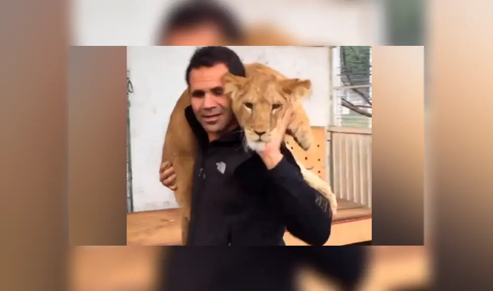 Desliza hacia la izquierda para ver la reacción de una leona bebé. Video de Facebook.