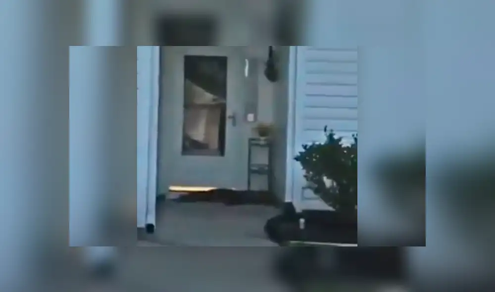 Facebook viral: llega a su casa y encuentra a misteriosa criatura tocando su puerta [VIDEO]