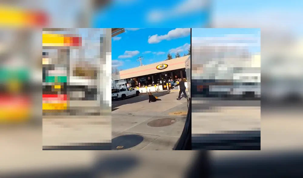 Mujer recibe descarga eléctrica por intentar “expulsar al demonio” de un policía [VIDEO]