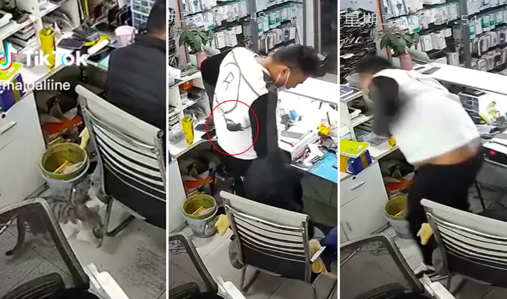 El clip ha superado los 36 millones de reproducciones en redes. Foto: composición de LR/TikTok/@Maydalina