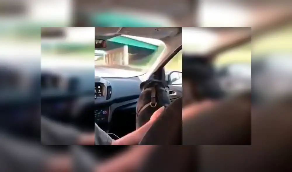 El hombre grabó la curiosa conducta de su perro cuando lo llevaba de copiloto en su vehículo. La divertida grabación se ha hecho viral en Facebook