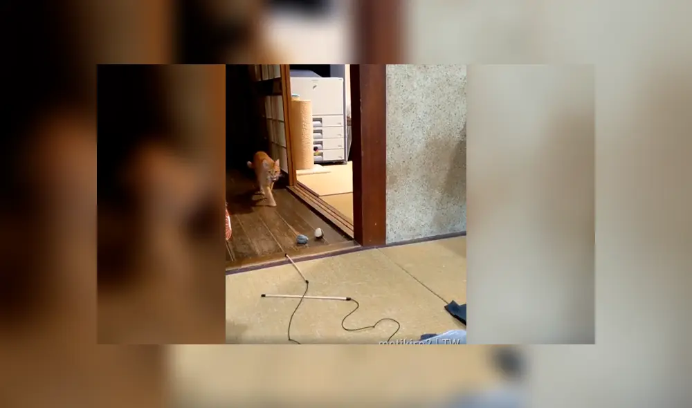 Desliza a la izquierda para ver el gesto que ha conmovido a miles en YouTube. Desliza a la izquierda para ver el gesto que ha conmovido a miles en YouTube.