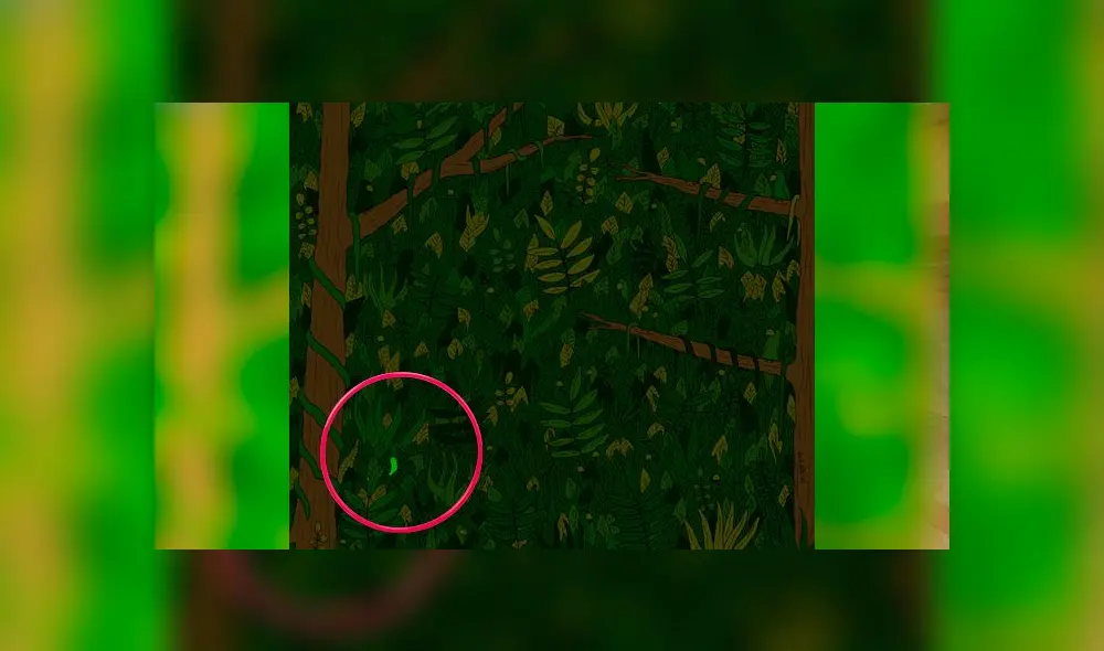 Desliza las imágenes para ver el lugar exacto en el que esta serpiente se encuentra oculta. Foto: dudolf.com Desliza las imágenes para ver el lugar exacto en el que esta serpiente se encuentra oculta. Foto: dudolf.com