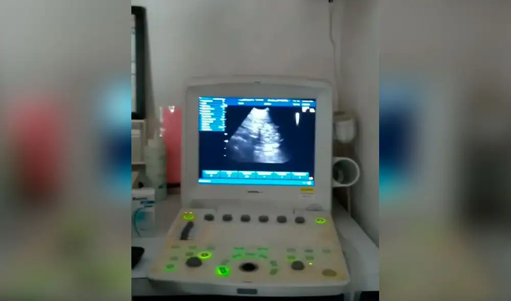 Desliza las imágenes para ver el conmovedor momento en que una perrita conoce a sus crías. Fotos: captura de Facebook Desliza las imágenes para ver el conmovedor momento en que una perrita conoce a sus crías. Fotos: captura de Facebook