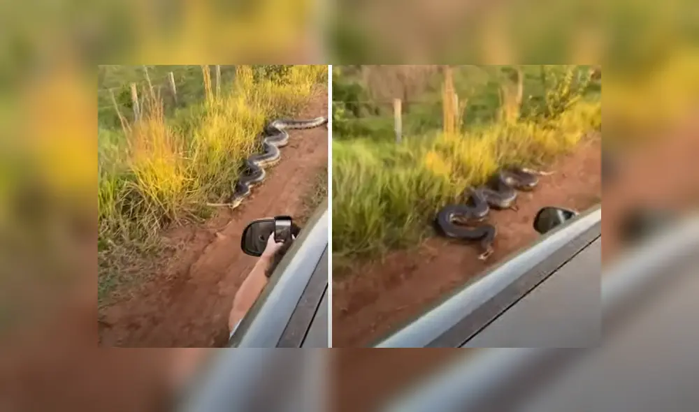 Desliza hacia la izquierda para ver las imágenes del viral de YouTube. Foto: Captura. Desliza hacia la izquierda para ver las imágenes del viral de YouTube. Foto: Captura.