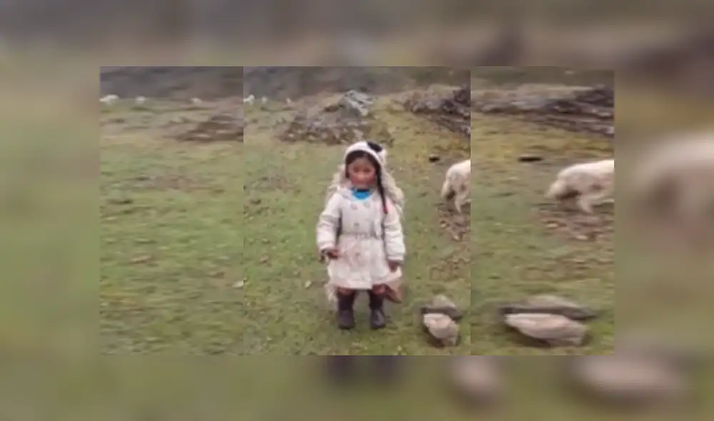 Desliza las imágenes para ver más detalles sobre esta divertida escena que es viral en Facebook. Desliza las imágenes para ver más detalles sobre esta divertida escena que es viral en Facebook.