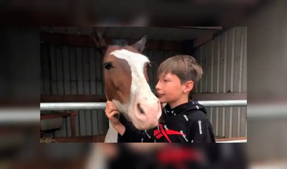 Cameron se convirtió en el "héroe sin capa" de un caballo atrapado en las aguas frías de un canal. Foto: Noticias Wessex