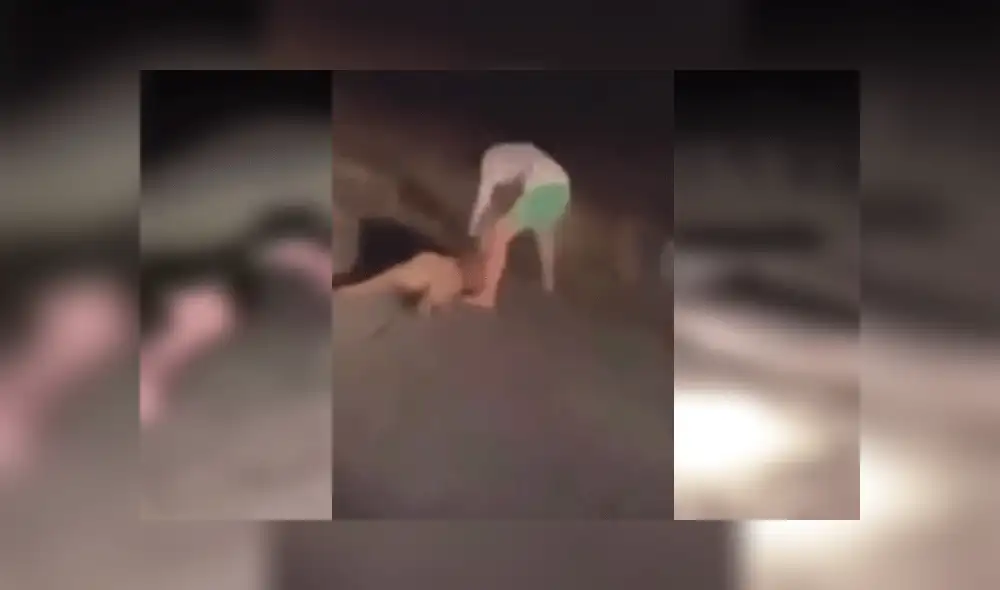 El animal había sido atropellado primero por sus agresores. Foto: Captura El animal había sido atropellado primero por sus agresores. Foto: Captura