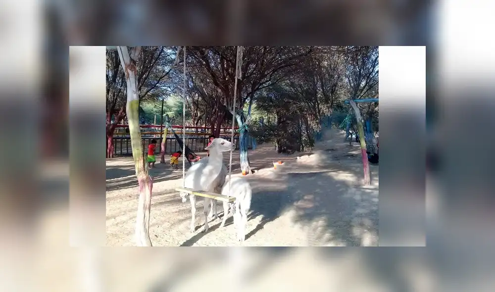 Facebook viral: joven peruano hace pedido y troles del Photoshop crean curiosos memes [FOTOS]