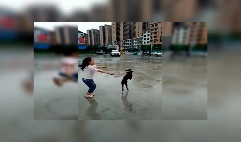 Facebook viral: perro sorprende saltando soga con niña de forma sincronizada 