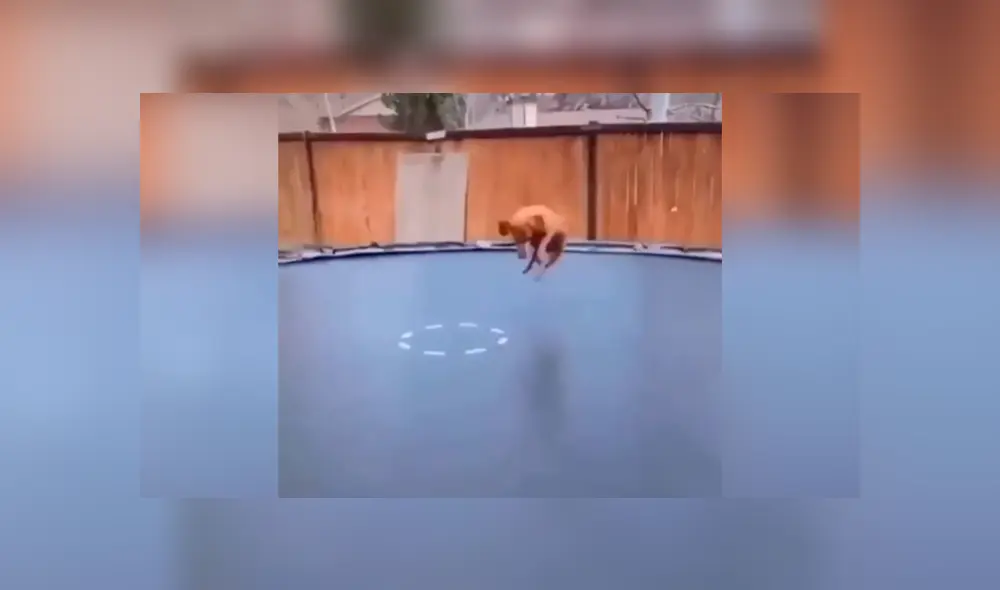 Desliza las imágenes hacia la izquierda para observar la emoción de un perro por jugar en un trampolín.
