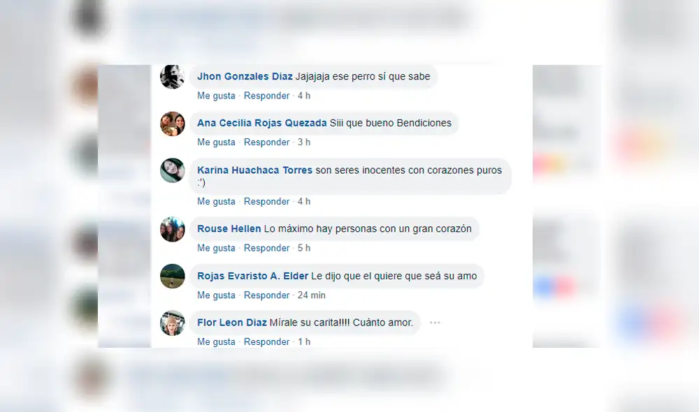 Vía Facebook: fue a albergue a hacer reportaje sobre perros y terminó adoptando a uno [VIDEO] 