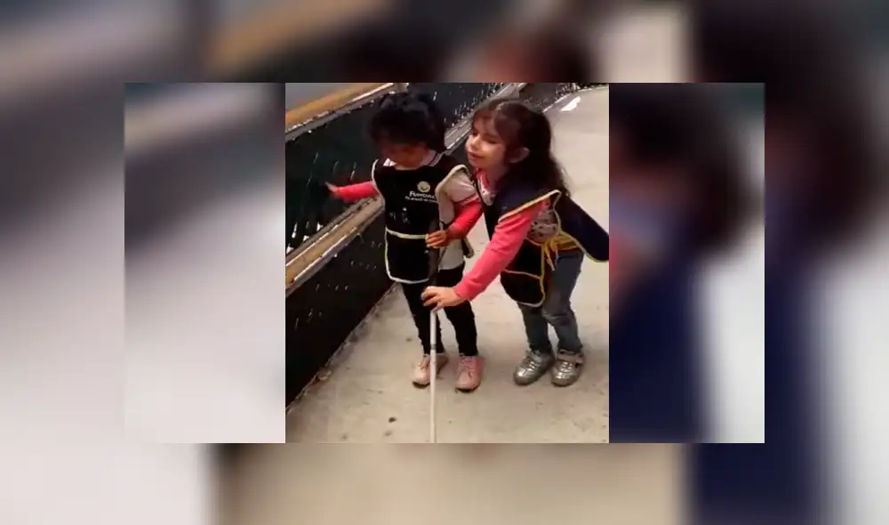 Un enternecedor momento que tiene como protagonistas a dos niñas invidentes se ha vuelto viral en las redes.