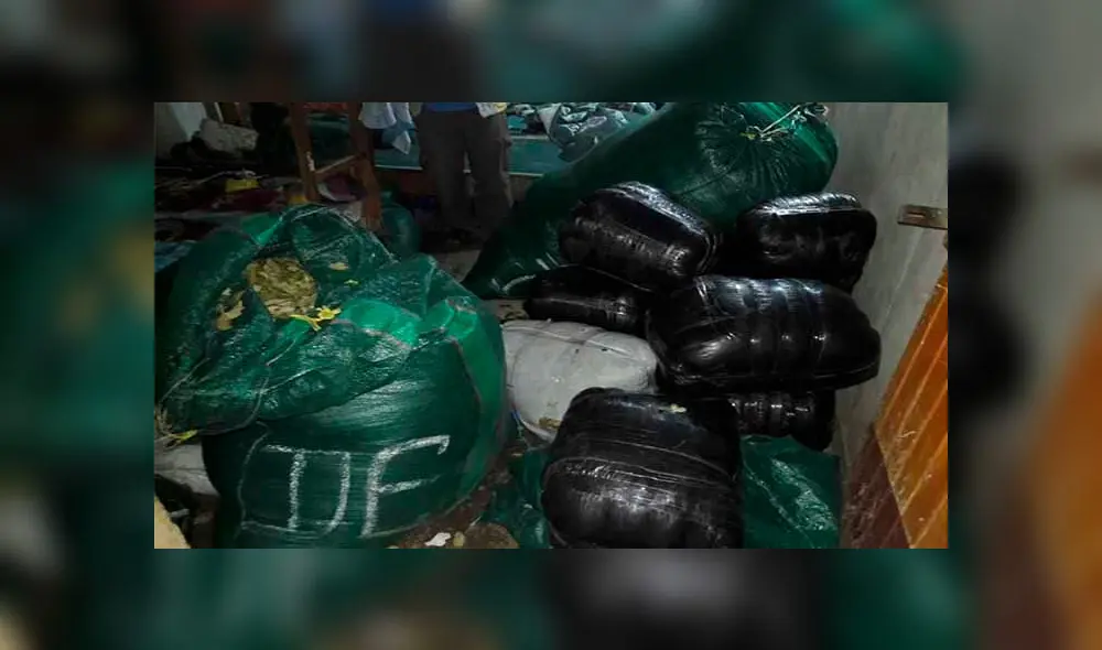 Hojas de coca estaban en costales de rafia. Carga quedó internada en Enaco.