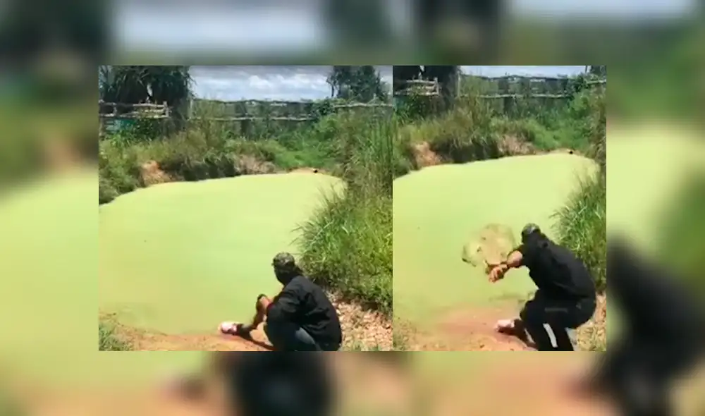 Facebook viral: hombre visitó pantano abandonado, se acerca y enorme reptil intentó devorarlo [VIDEO] 