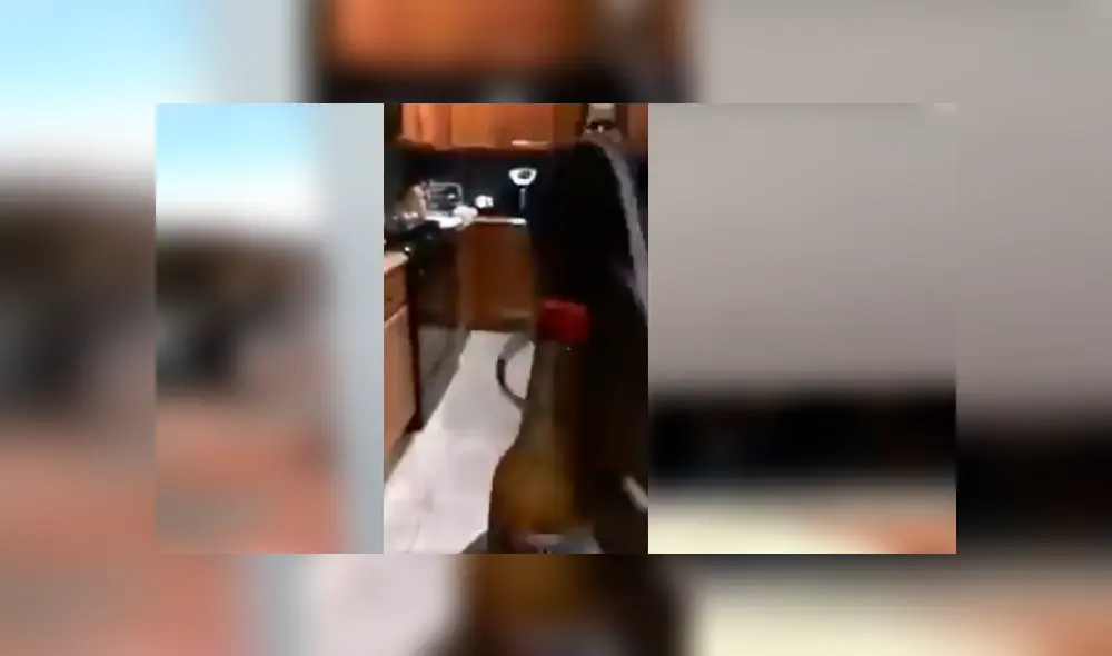 Mujer quiso unirse al nuevo reto viral 'Bottle Cap Challenge' y no encontró mejor forma de hacerlo que con la famosa “chancla”