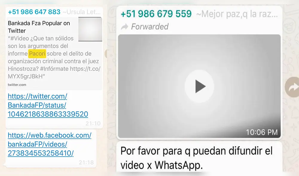 Chat de ‘La Botica’: así fue el blindaje de FP a Hinostroza