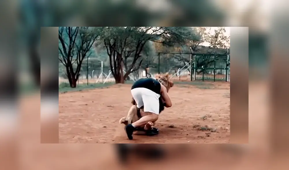Desliza hacia la izquierda para ver el reencuentro del hombre con un enorme león que se volvió viral en YouTube.