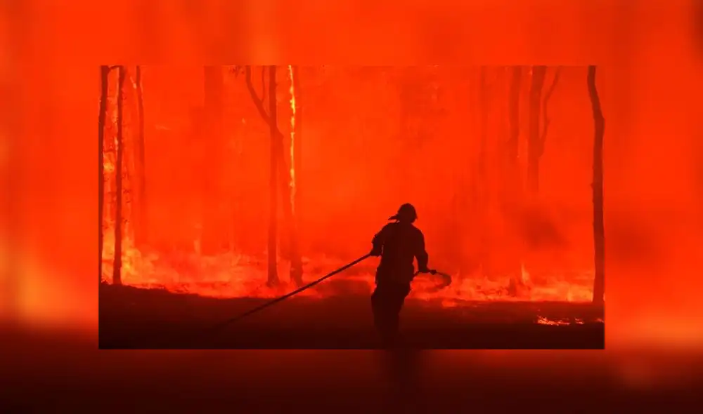 Incendios forestales en Australia dejaron al menos 12 muertos. Foto: EFE Incendios forestales en Australia dejaron al menos 12 muertos. Foto: EFE
