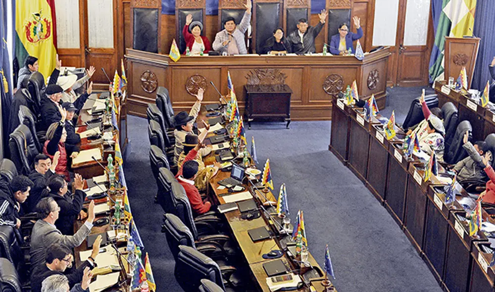 Deciden. Senadores bolivianos aceptaron proyecto de norma para nuevas elecciones, pero queda fuera Evo Morales.