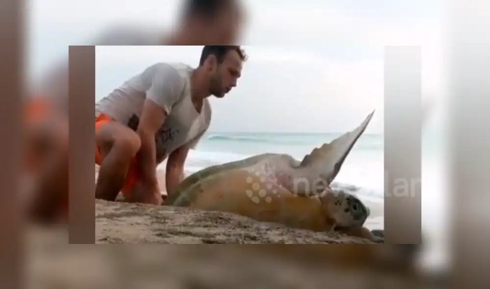 Jóvenes encuentran misteriosa criatura atrapada entre las rocas.
