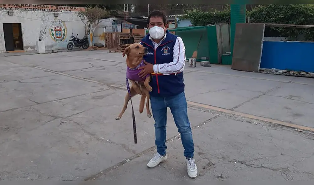 Chiclayo: regidor adopta a perro de indigente reubicado Chiclayo: regidor adopta a perro de indigente reubicado