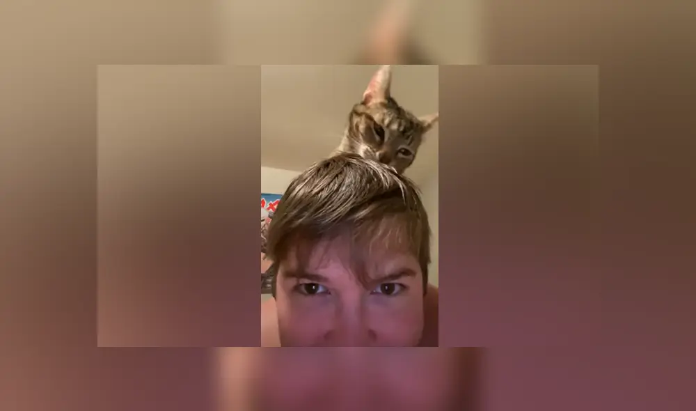 Desliza hacia la izquierda para ver las tiernas imágenes del viral de Facebook.