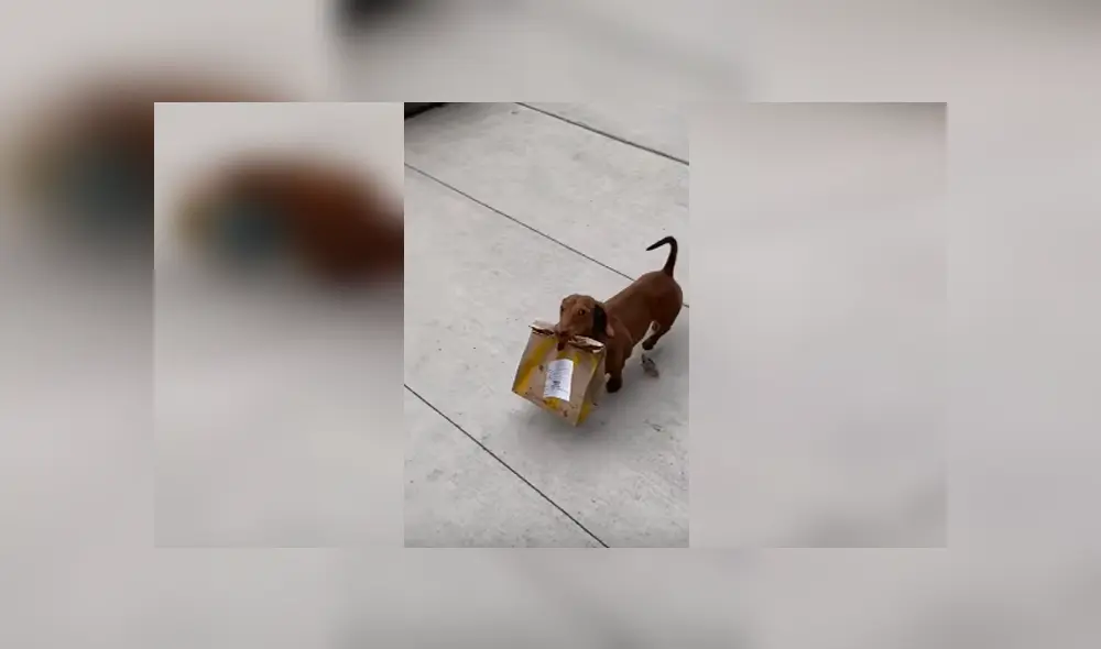 Desliza para ver los detalles del video viral publicado en YouTube. Foto: Captura. Desliza para ver los detalles del video viral publicado en YouTube. Foto: Captura.