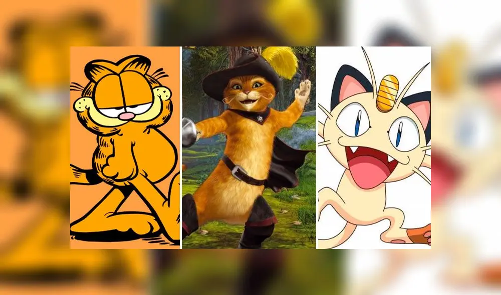 Populares gatos por el "Día Internacional del Gato". Créditos: Composición