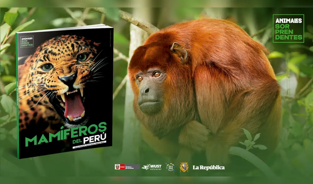 Mamíferos del Perú: una guía para estudiantes y amantes de los animales