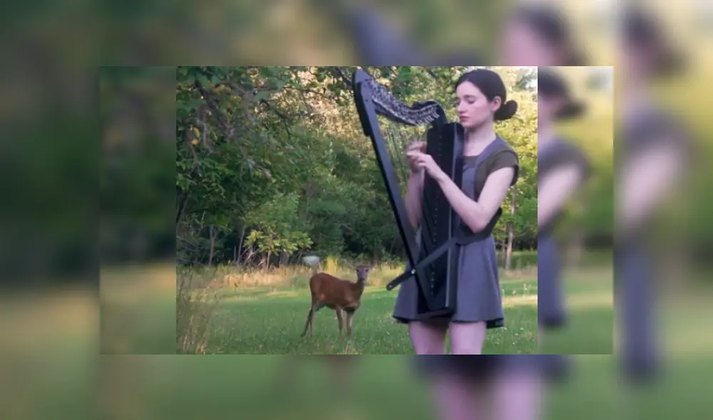 Desliza las imágenes para ver más sobre esta joven que fue sorprendida por un ciervo en pleno 'concierto'. (Foto: captura)