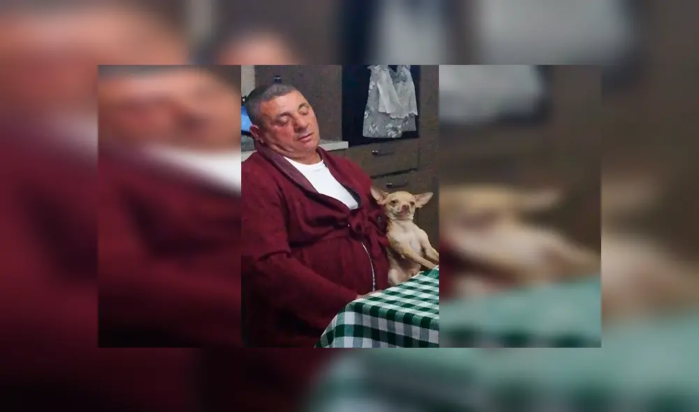 En Facebook, un padre fue descubierto en emotiva escena junto a un perro tras mostrar su rechazo por querer una mascota. En Facebook, un padre fue descubierto en emotiva escena junto a un perro tras mostrar su rechazo por querer una mascota.