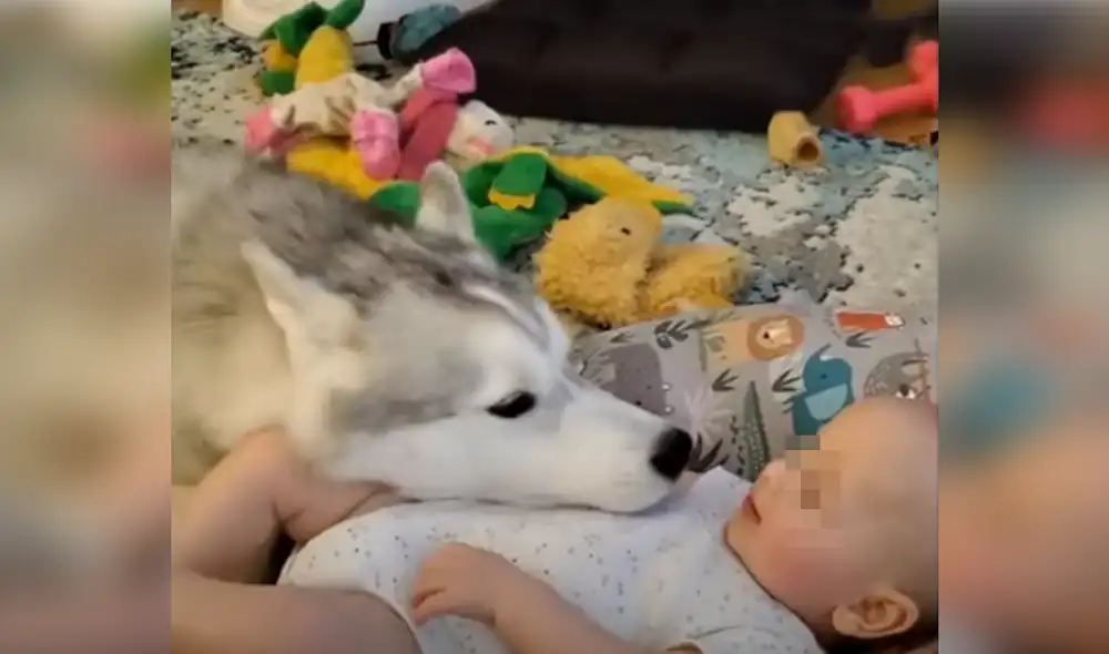 Desliza hacia la izquierda para ver las imágenes del video viral. Foto: Captura de Facebook