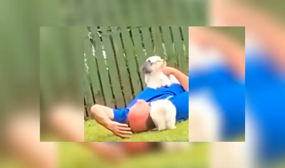 Facebook viral: su padre no quería perros en casa y luego de semanas su hija lo capta en tierna escena Facebook viral: su padre no quería perros en casa y luego de semanas su hija lo capta en tierna escena